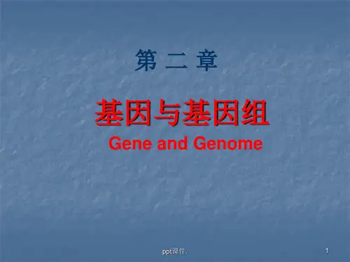 医学分子生物学基因与基因组ppt课件
