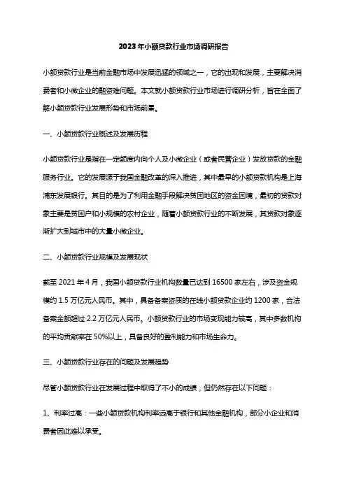 2023年小额贷款行业市场调研报告