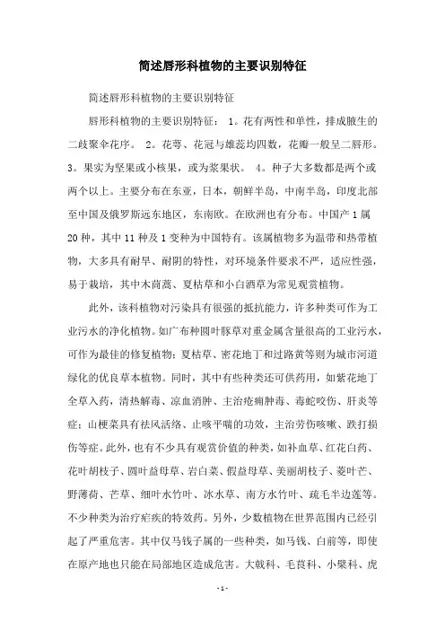简述唇形科植物的主要识别特征