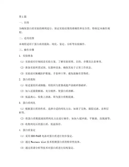 蛋白质操作规程(3篇)