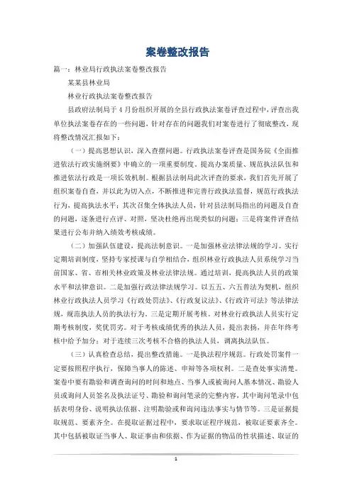 案卷整改报告