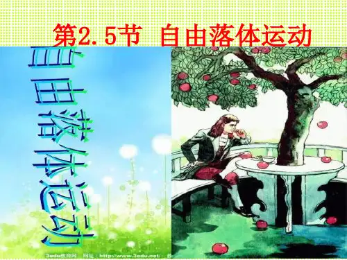 自由落体运动 (优质课件)