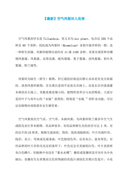 【最新】空气凤梨对人危害
