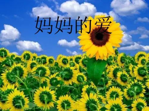 《妈妈的爱》精品PPT课件