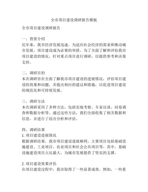 全市项目建设调研报告模板