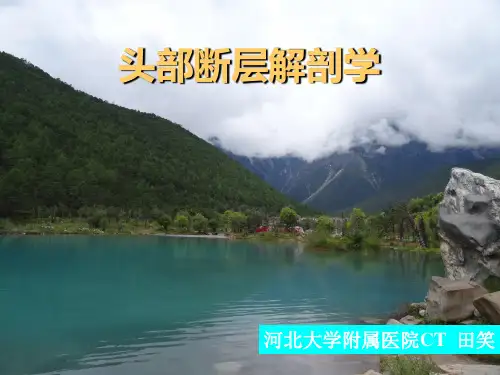 头部断层解剖学