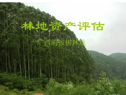 第五章林地资源资产评估ppt课件