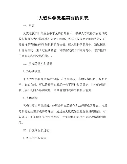 大班科学教案美丽的贝壳