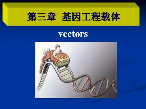 第三章基因工程载体