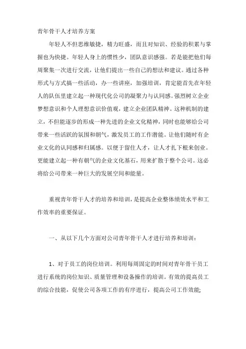 青年骨干人才培养方案