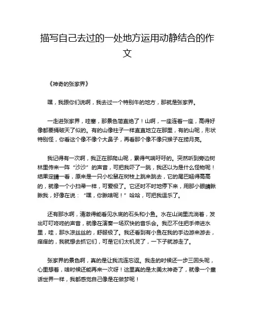 描写自己去过的一处地方运用动静结合的作文