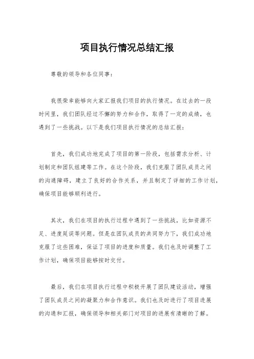 项目执行情况总结汇报