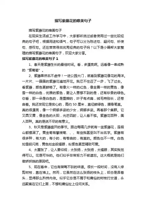 描写紫藤花的唯美句子