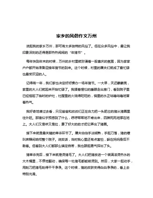 家乡的风俗作文万州