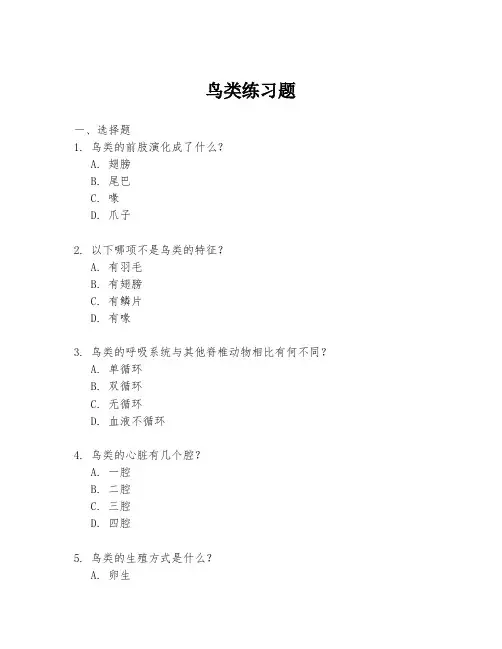 鸟类练习题
