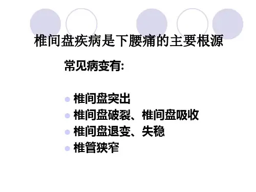 椎间盘源性下腰痛PPT课件