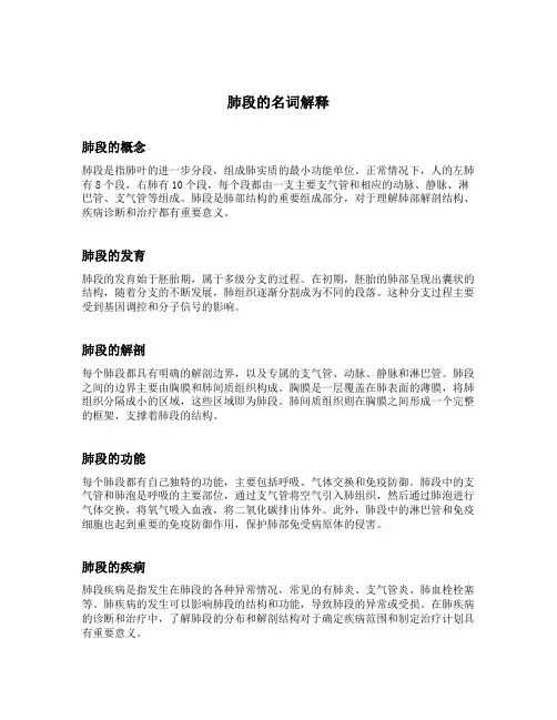 肺段的名词解释