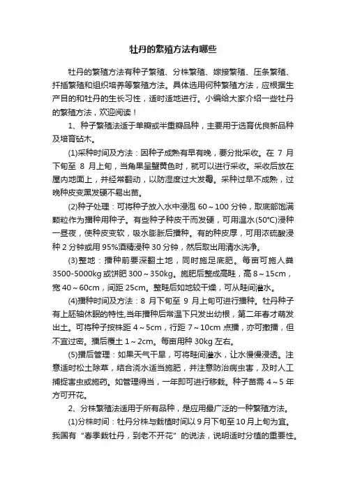 牡丹的繁殖方法有哪些