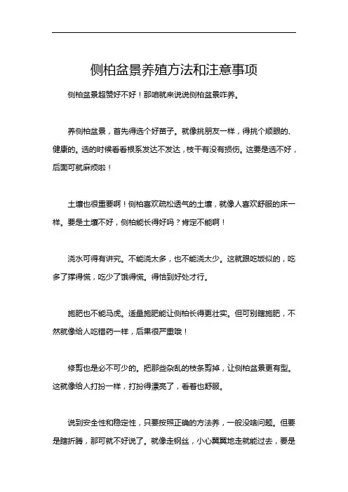 侧柏盆景养殖方法和注意事项