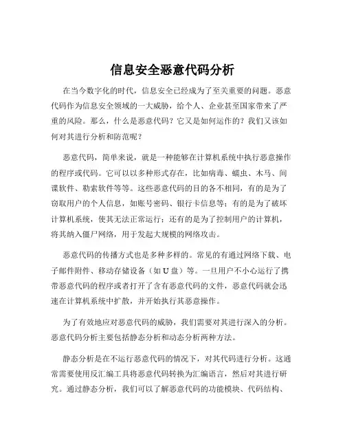 信息安全恶意代码分析