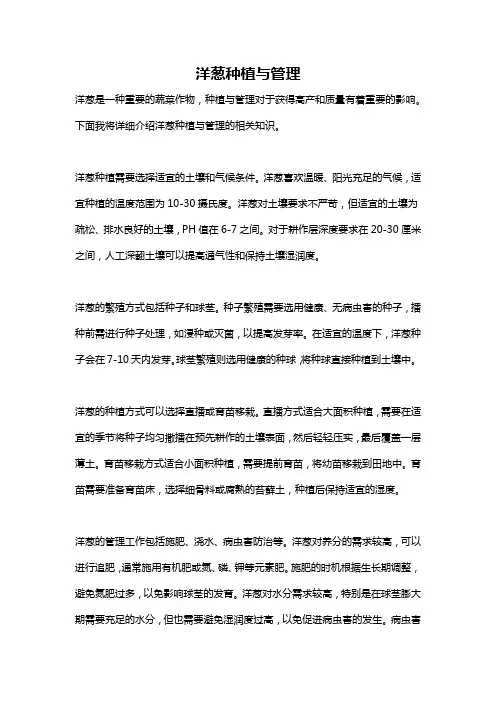 洋葱种植与管理