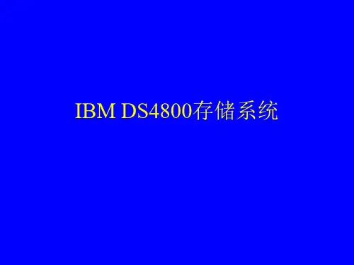 IBM DS4800培训资料