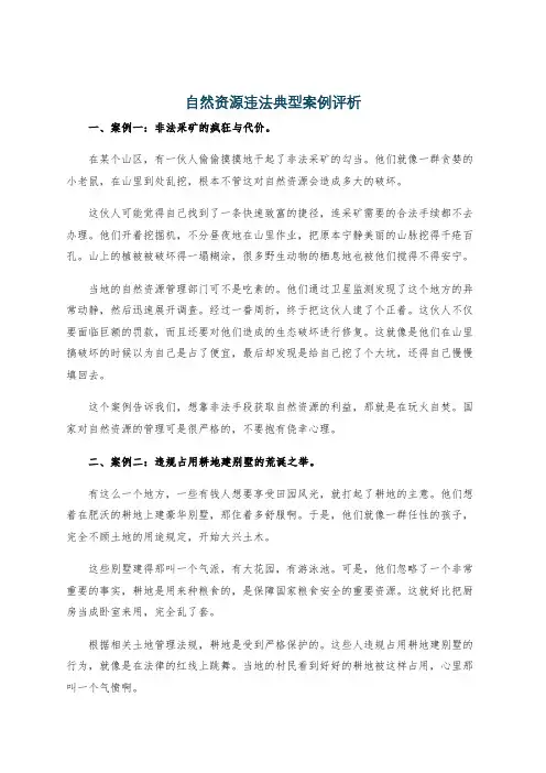 自然资源违法典型案例评析