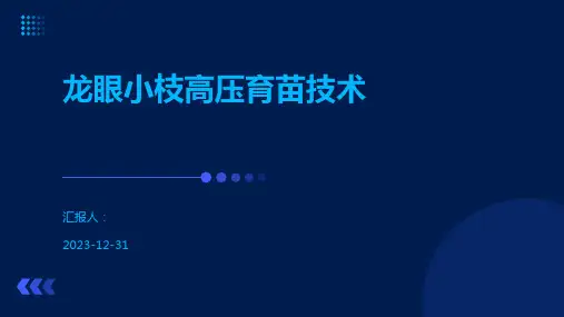 龙眼小枝高压育苗技术