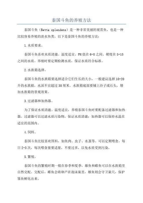 泰国斗鱼的养殖方法
