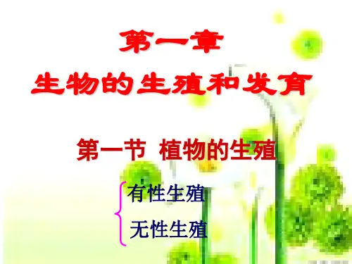 《植物的生殖》课件 PPT