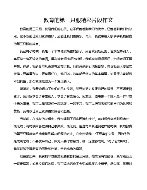 教育的第三只眼精彩片段作文