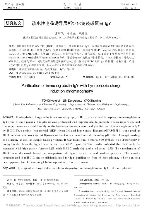 疏水性电荷诱导层析纯化免疫球蛋白IgY