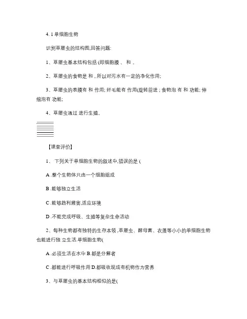 七年级上册苏教版生物第四章第一节单细胞生物学案习题
