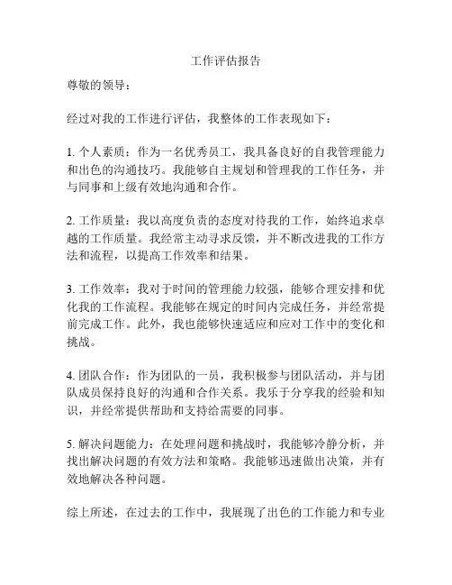 工作评估报告