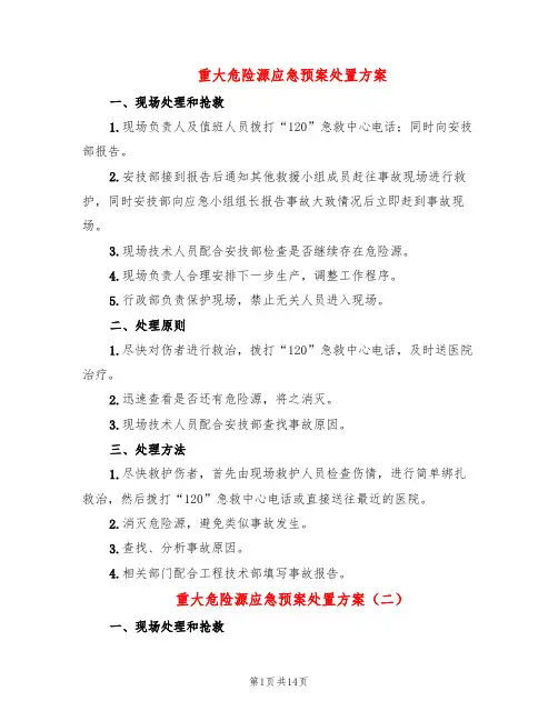 重大危险源应急预案处置方案(10篇)