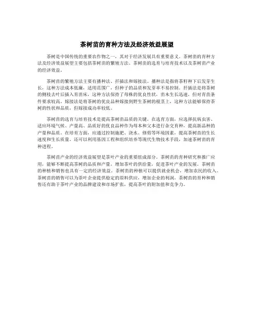 茶树苗的育种方法及经济效益展望