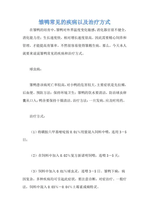 雏鸭常见的疾病以及治疗方式