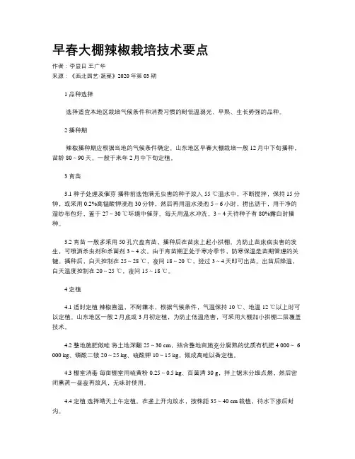 早春大棚辣椒栽培技术要点