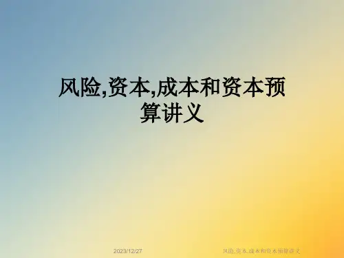 风险-资本-成本和资本预算讲义