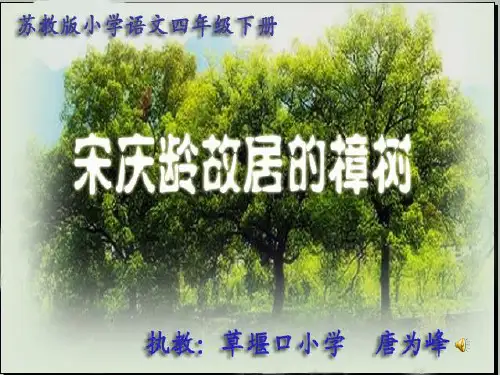 宋庆龄故居的樟树