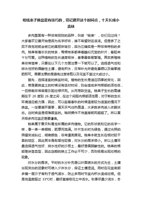 给钱串子换盆是有技巧的，切记避开这个时间点，十天长成小森林