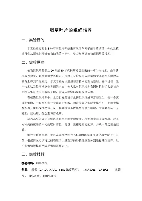 烟草植物组织培养实验报告2223