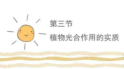 6.3植物光合作用的实质(精讲课件)-七年级生物上册精品课堂(苏教版)
