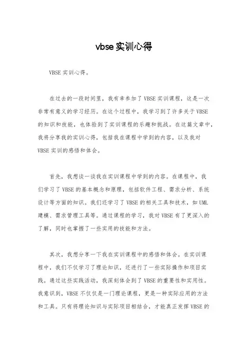 vbse实训心得