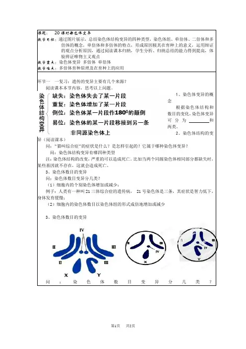 高三生物一轮复习教案：课题20 染色体变异1