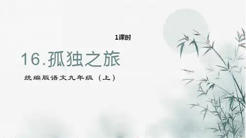 九年级上册第4单元《孤独之旅》 (1)