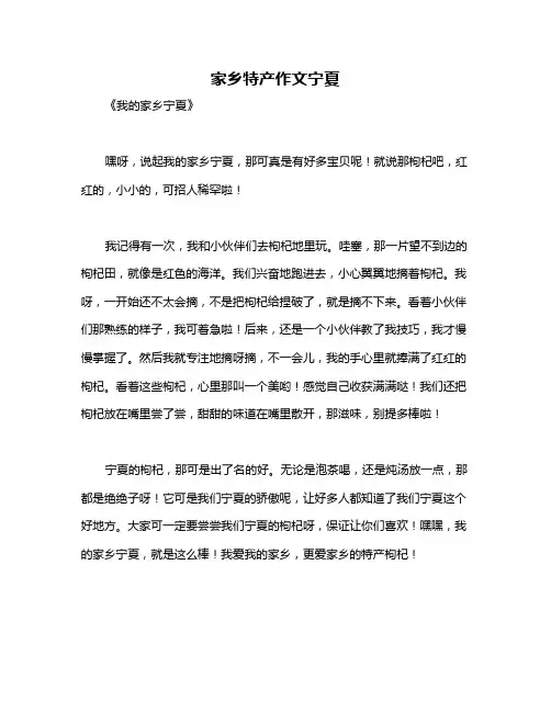 家乡特产作文宁夏
