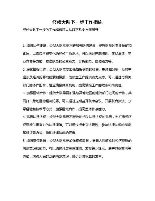 经侦大队下一步工作措施