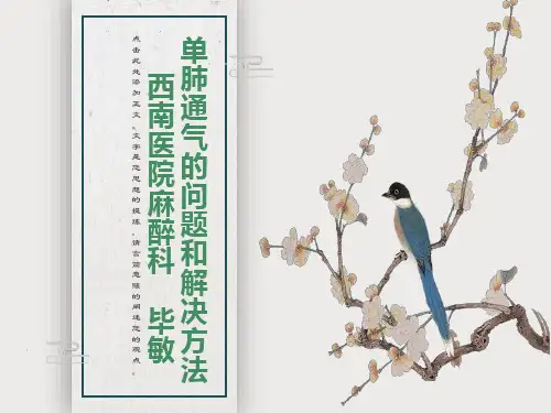 单肺通气的问题和解决方法