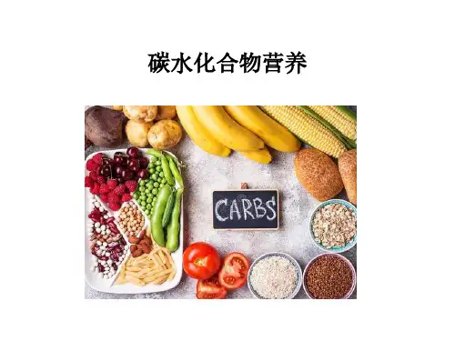 碳水化合物的种类及功能课件
